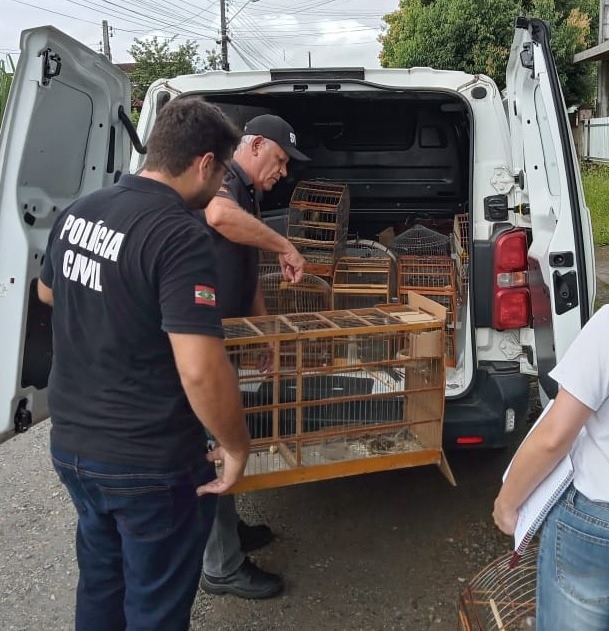 Policial com gaiola aprendidas na mão