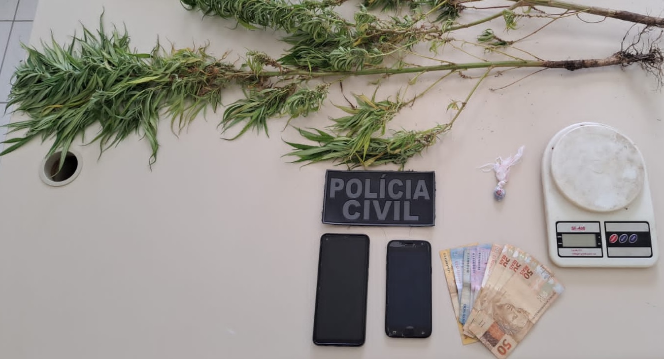 sobre a mesa dois celulares, pé de maconha, emblema da pc e dinheiro