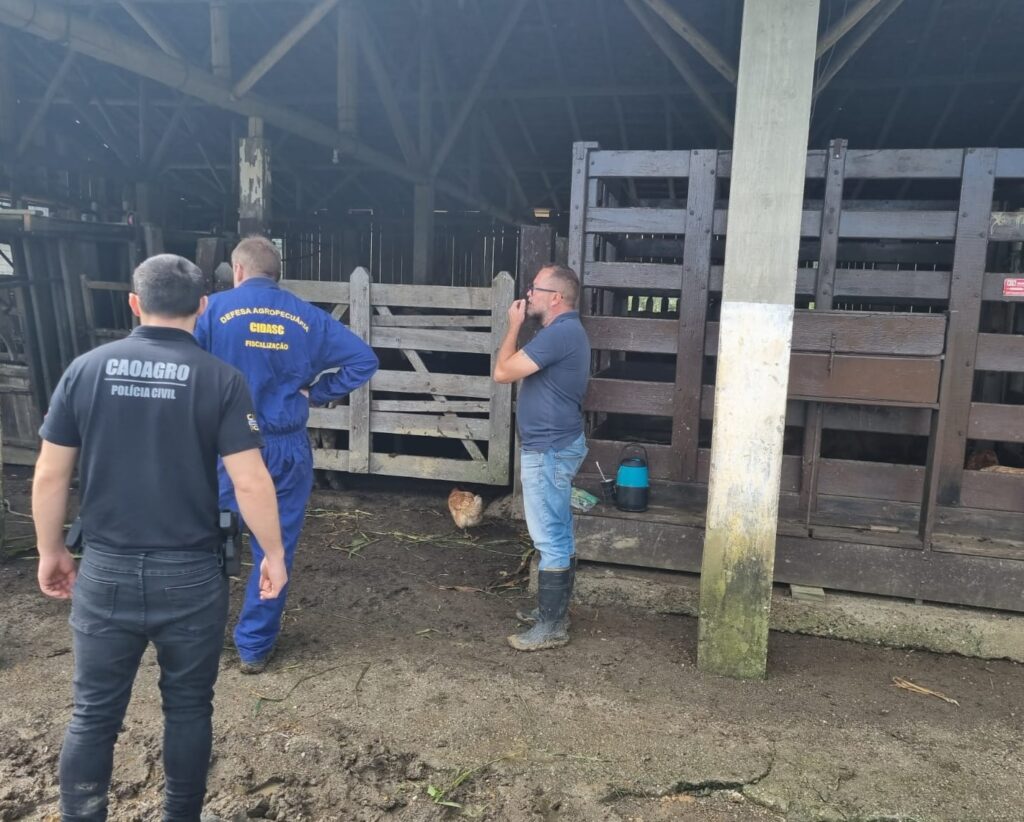 AGENTE DO CIDASC E CAOAGRO