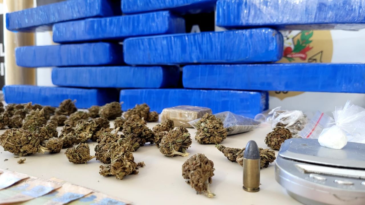 drogas recolhidas