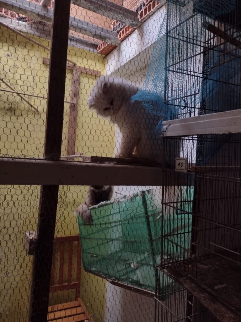 WhatsApp Image 2023-05-17 at 16.39.29